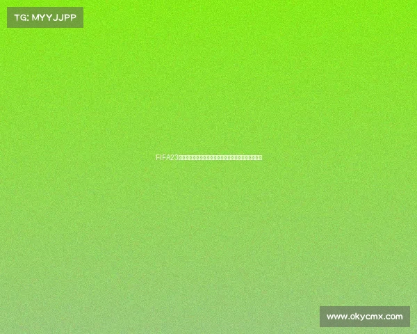 FIFA23世界杯赛果全景回顾与冠军之路精彩瞬间汇总赛事回顾